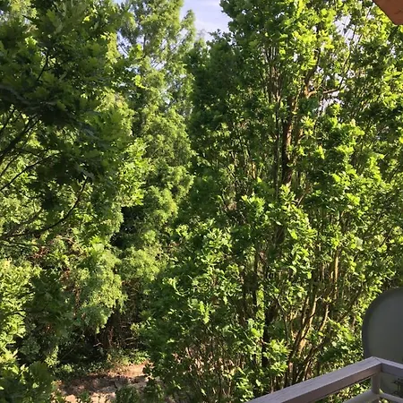 Apartman Muskátli *