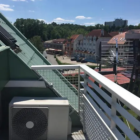 Muskátli *